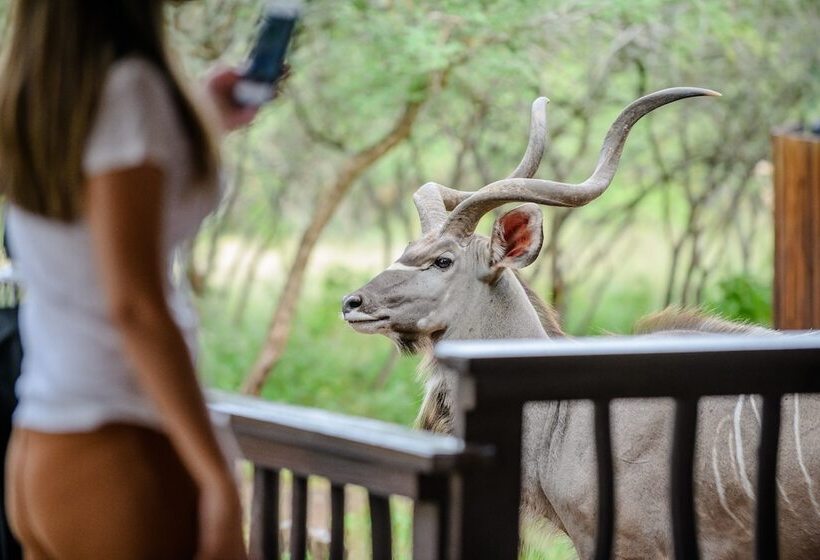 Отель Needles Lodge