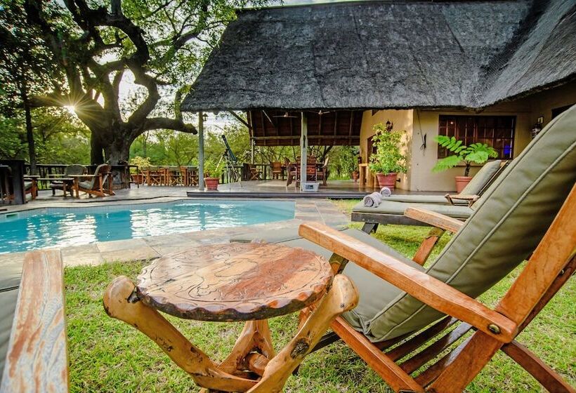 Отель Needles Lodge