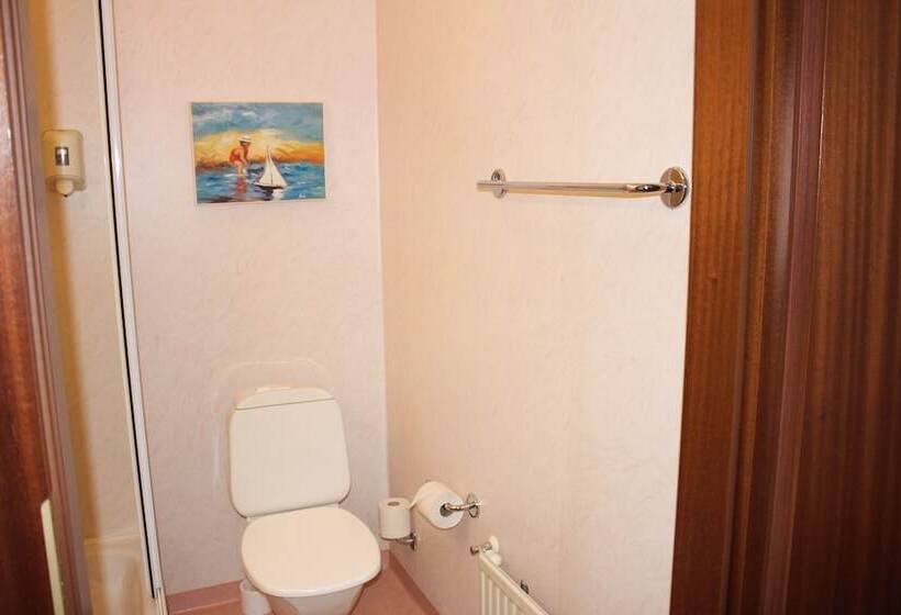 בית מלון כפרי North Star Staðarflöt