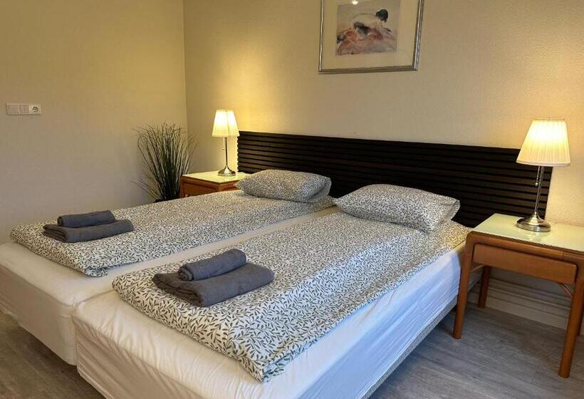 בית מלון כפרי North Star Staðarflöt