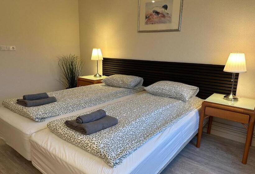 בית מלון כפרי North Star Staðarflöt