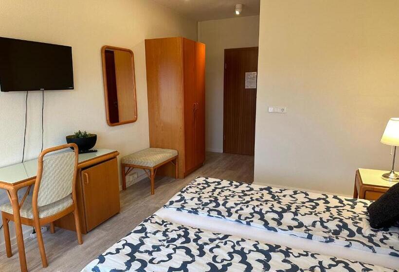 בית מלון כפרי North Star Staðarflöt