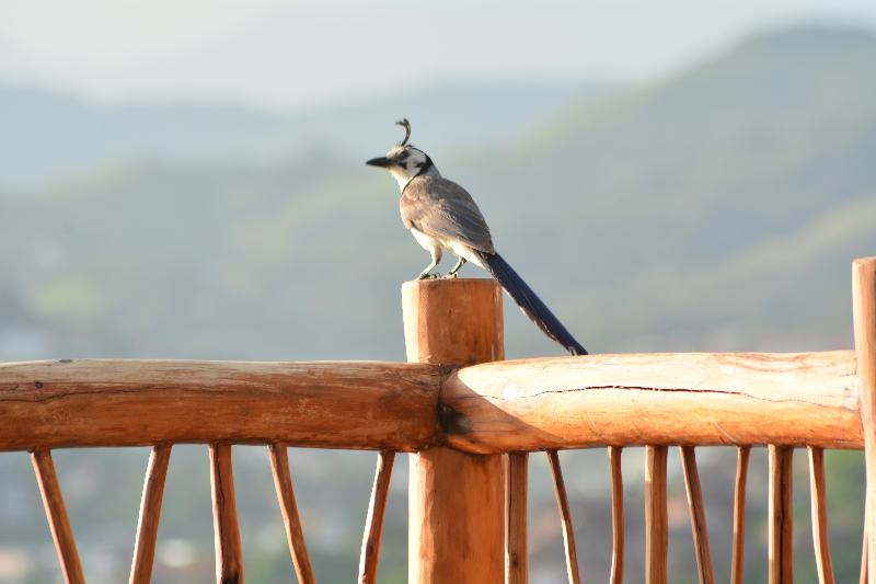 Отель Pacifica Club