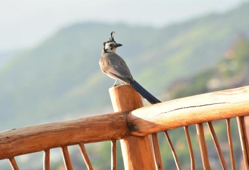 호텔 Pacifica Resort Ixtapa