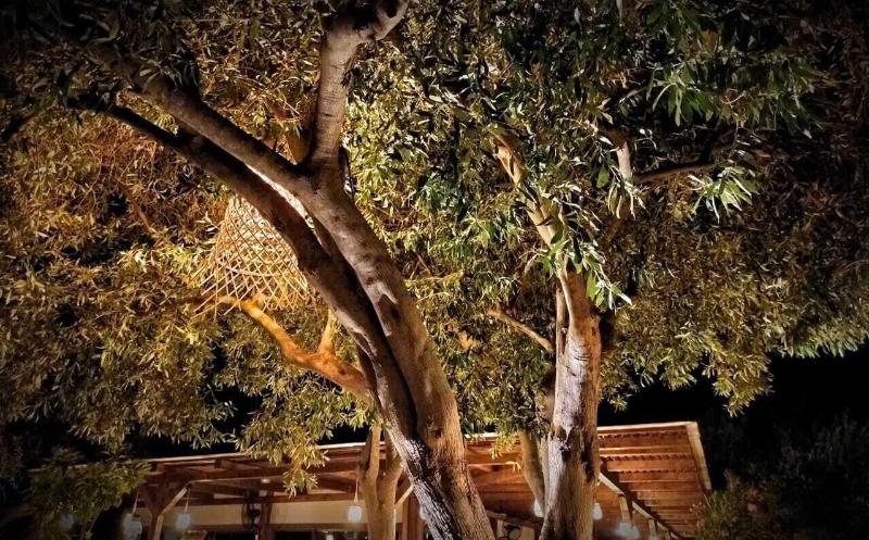 Отель Plataria Beach