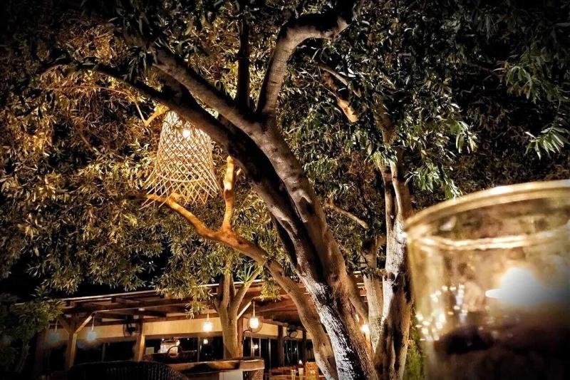 Отель Plataria Beach