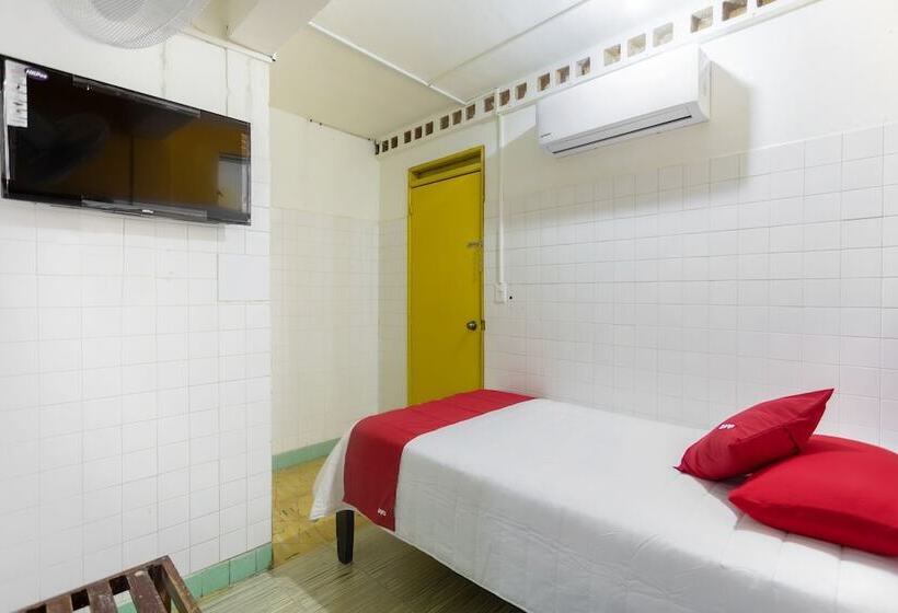 فندق Rosa Del Alba