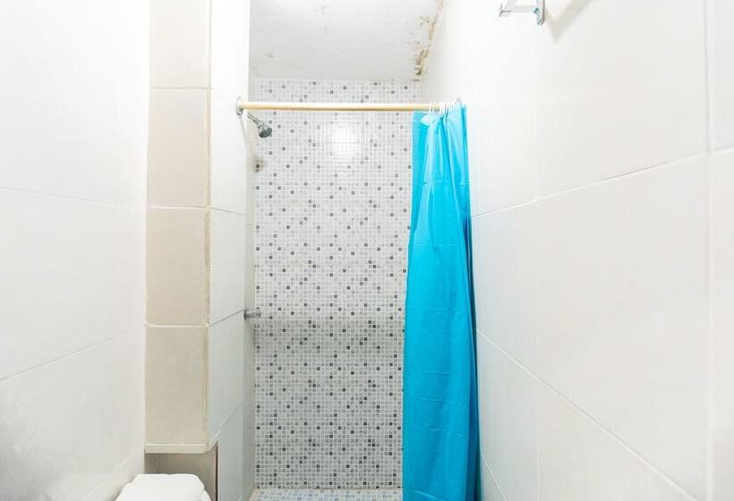 فندق Rosa Del Alba