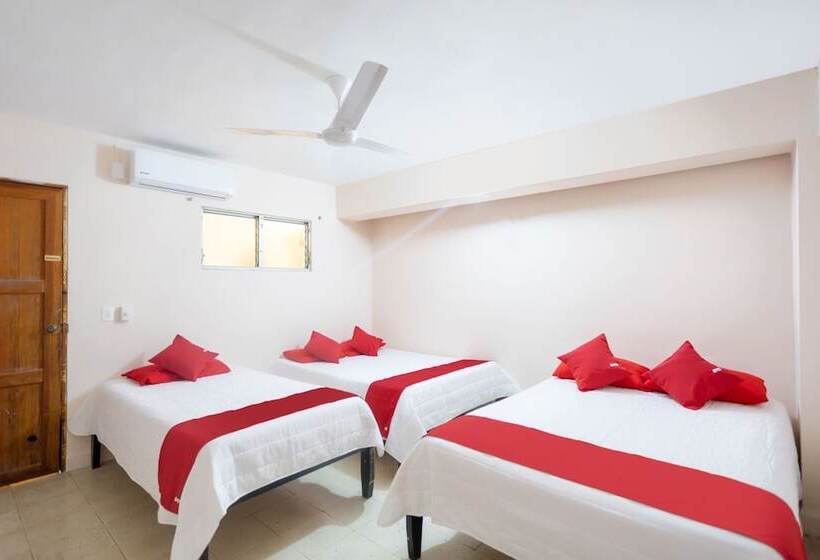 فندق Rosa Del Alba