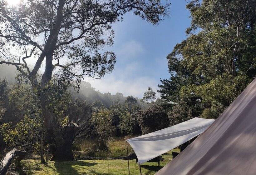 فندق Glamping At Zeehan Bush Camp