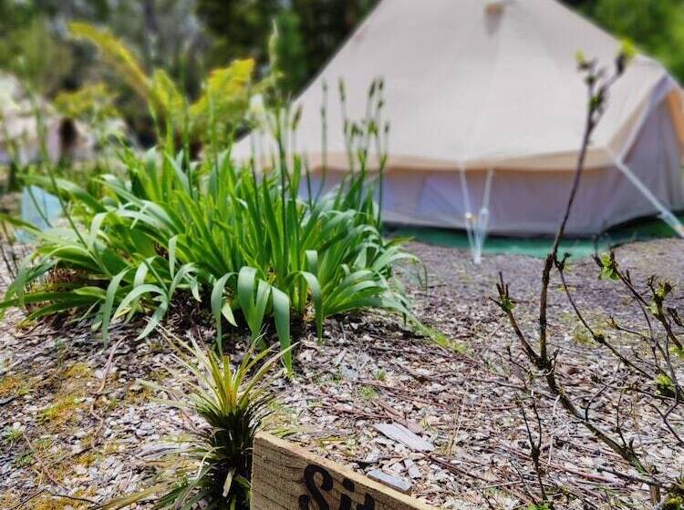 فندق Glamping At Zeehan Bush Camp