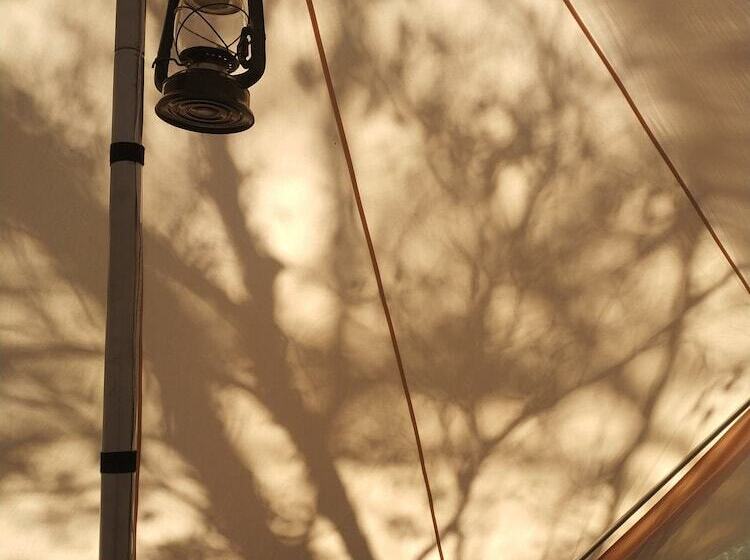 فندق Glamping At Zeehan Bush Camp