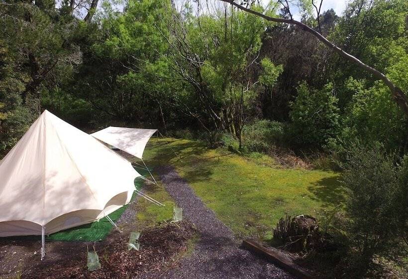 فندق Glamping At Zeehan Bush Camp