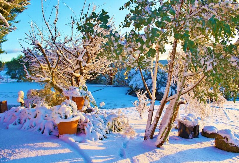 מוטל Panorama Jindabyne