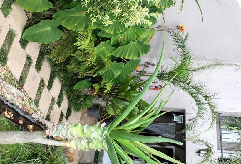 ペンション Airport Lodge Guest House