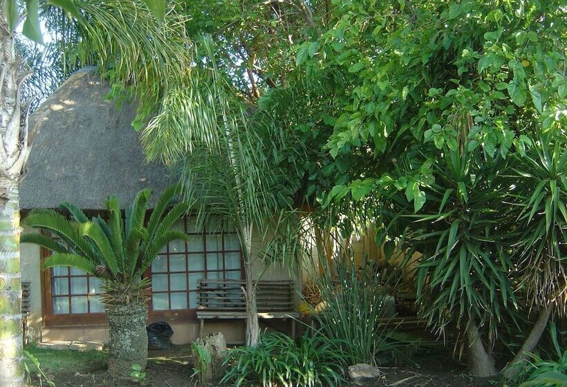 膳宿费 Airport Modjadji Guesthouse