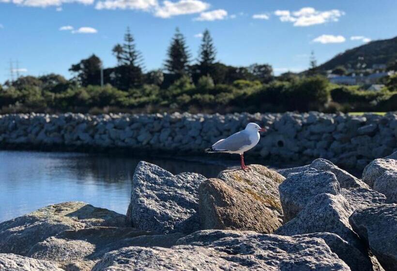 بنسيون Albany Foreshore Guest House