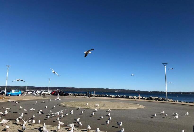 بنسيون Albany Foreshore Guest House