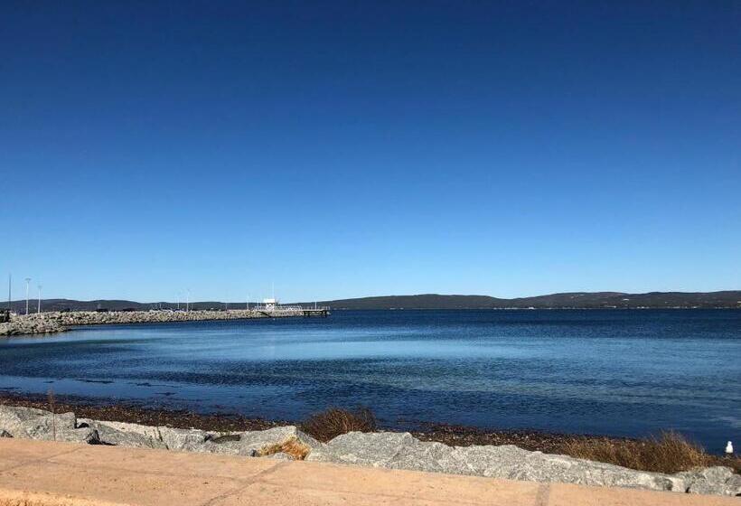 بنسيون Albany Foreshore Guest House
