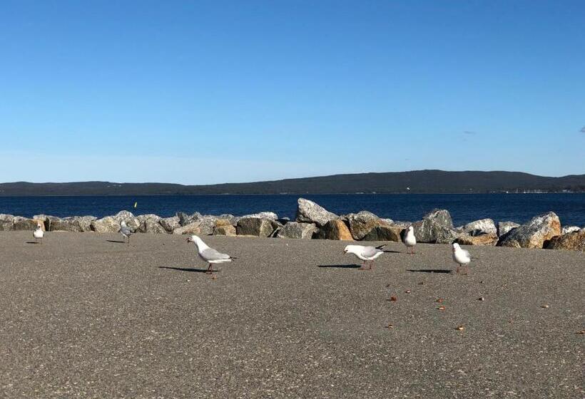 פנסיון Albany Foreshore Guest House