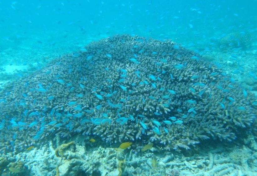 ペンション Guesthouse Iyonchi