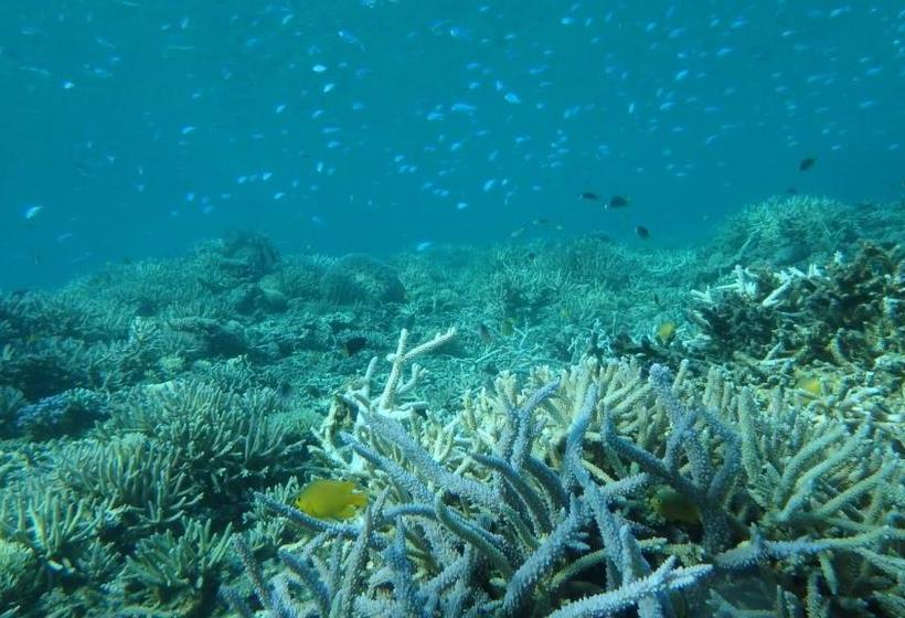 بنسيون Guesthouse Iyonchi