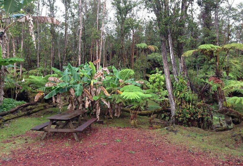 פנסיון Ixchel Hawaii