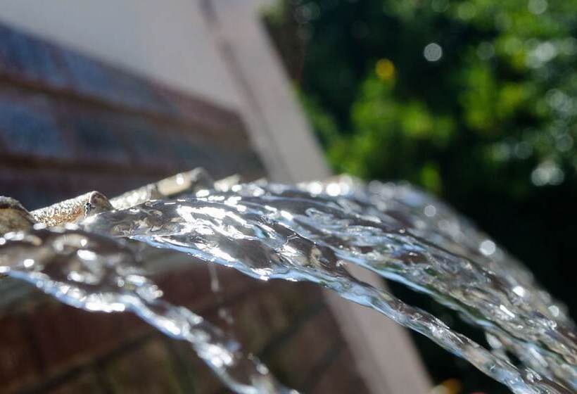 פנסיון Loxley House