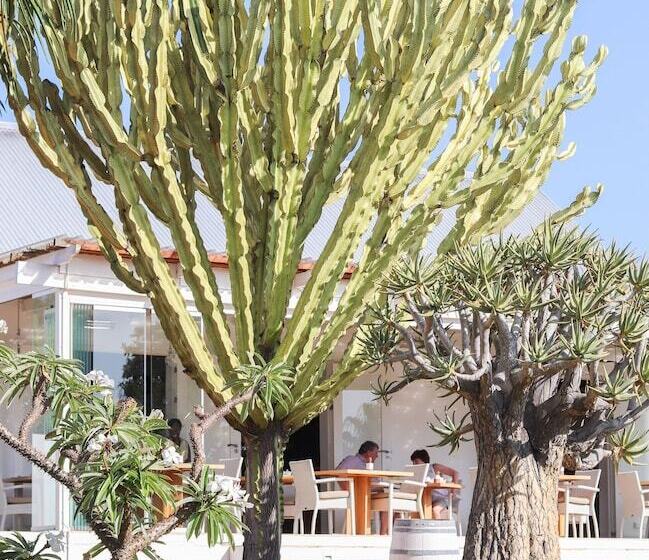 פנסיון Mo & Rose At Soekershof