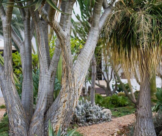 膳宿费 Mo & Rose At Soekershof