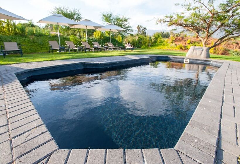 פנסיון Mo & Rose At Soekershof