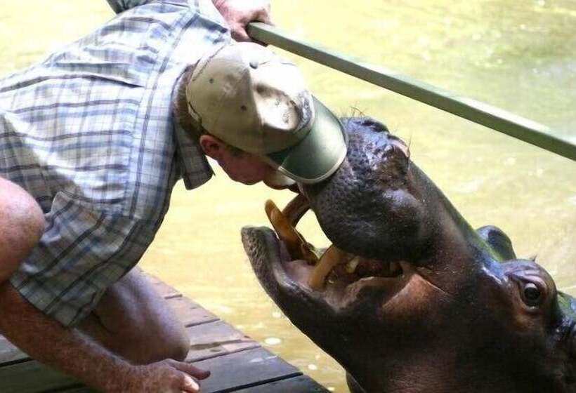 Пансион Sunbird Lodge