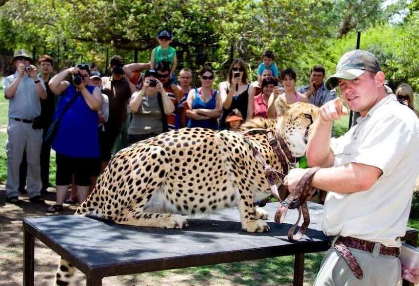 Пансион Sunbird Lodge