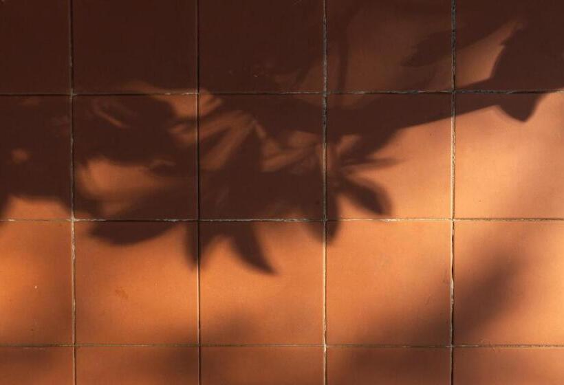 پانسیون The Alison Randwick