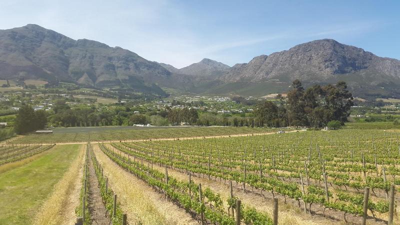 펜션 The Potting Shed Guest House