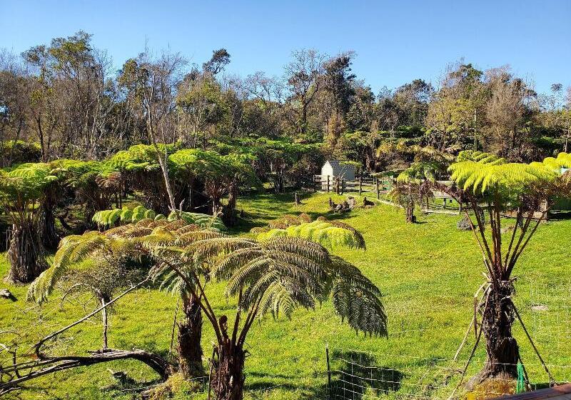 Volcano Acres Ranch B&b