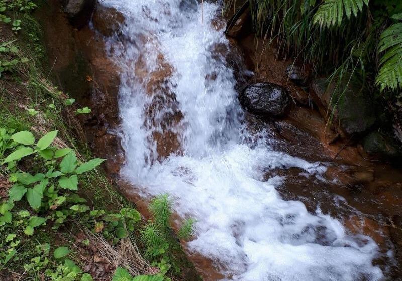 مبيت وإفطار Bistare Kana