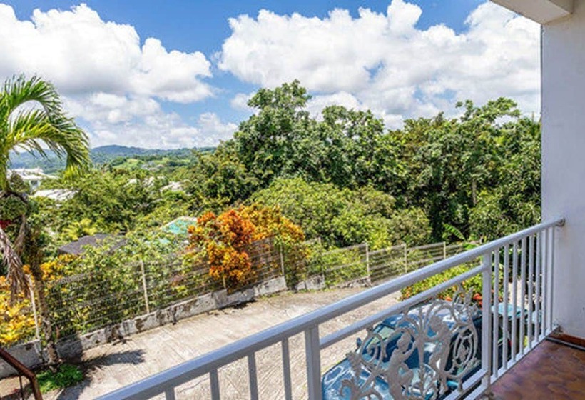 민박 Les Chambres D'hotes De La Villa Cayol