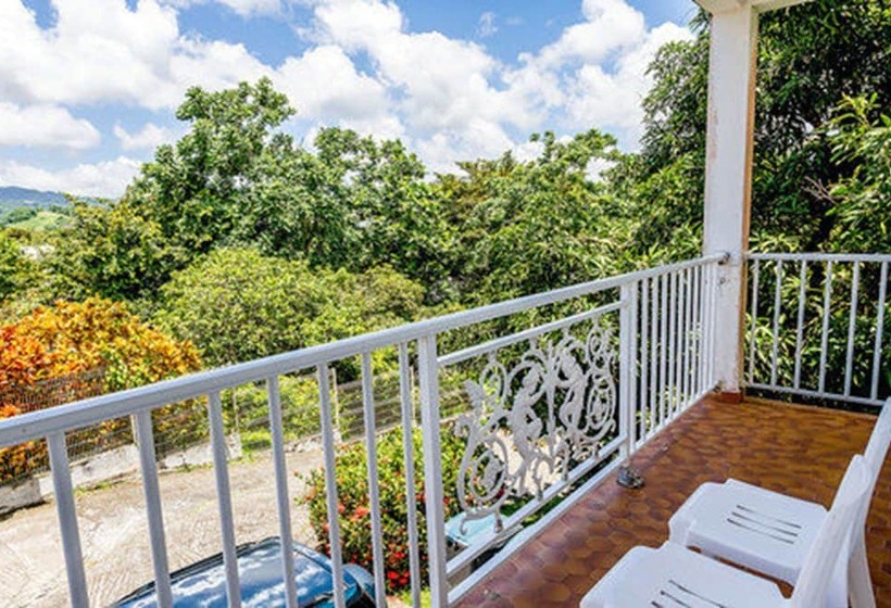 민박 Les Chambres D'hotes De La Villa Cayol