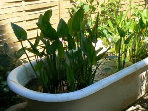 مبيت وإفطار Maison D Hôtes Et Roulotte Le 6 Bis