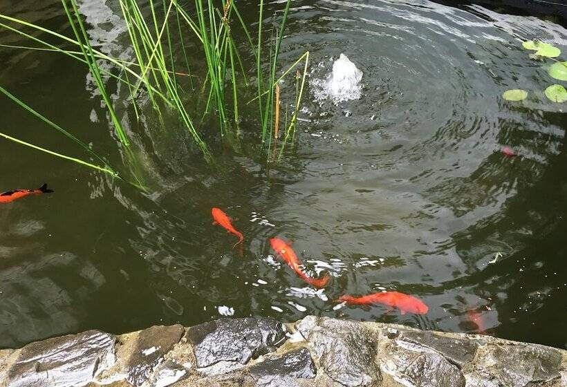 تختخواب و صبحانه Treghan Luxury Lodge