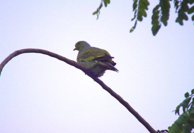 Heina Nature Resort & Yala Safari