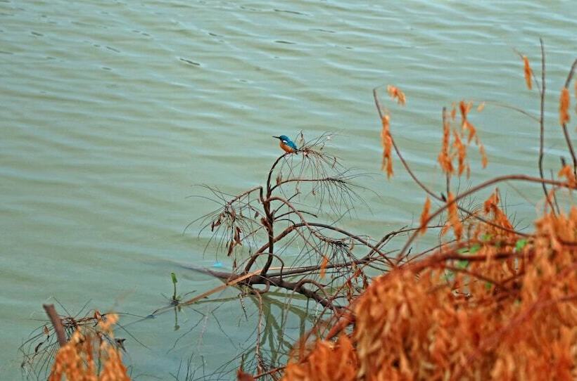 Heina Nature Resort & Yala Safari