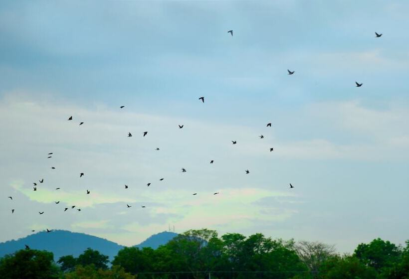 Heina Nature Resort & Yala Safari