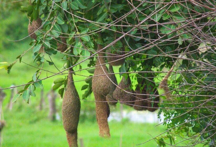 Heina Nature Resort & Yala Safari