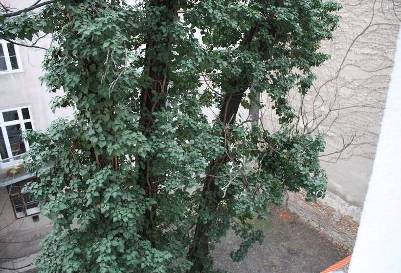 Homelike City Apartment