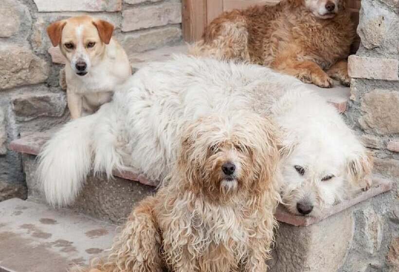 ホテル Agriturismo Fattoria Lischeto