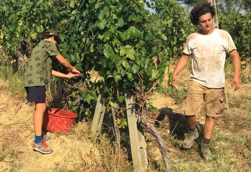 هتل Agriturismo Rigone In Chianti