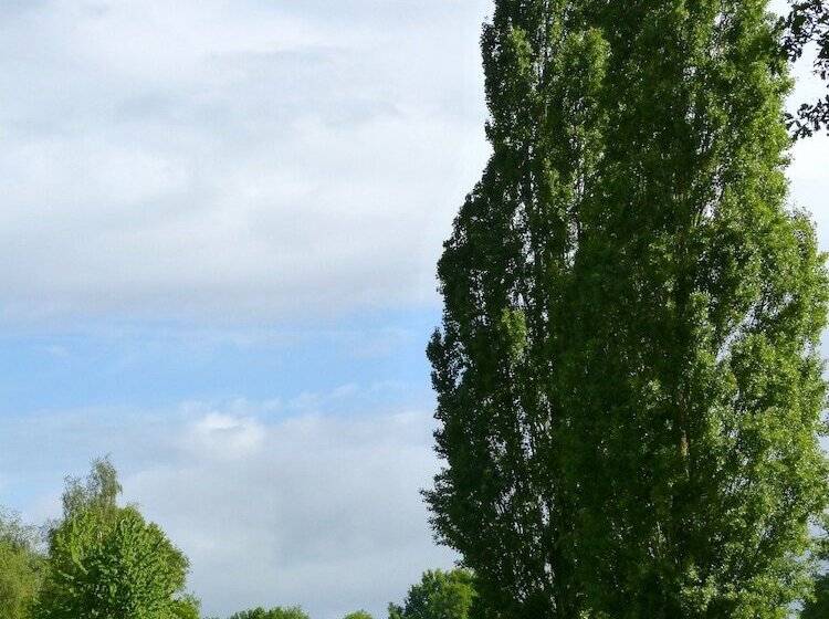 בית מלון כפרי Anjou Golf And Country Club