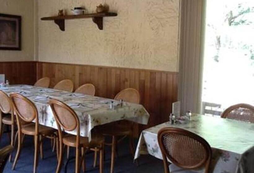 酒店 Auberge Mountain View Inn